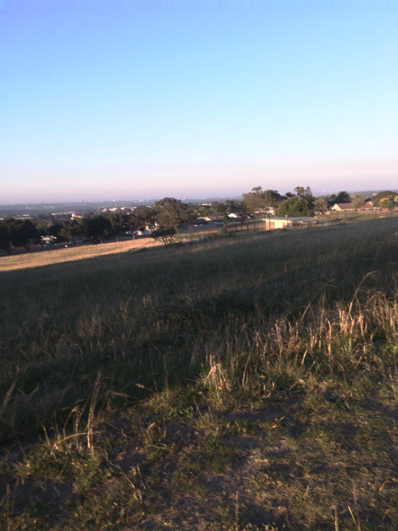 walking near me in Lovemore Heights Park in summer