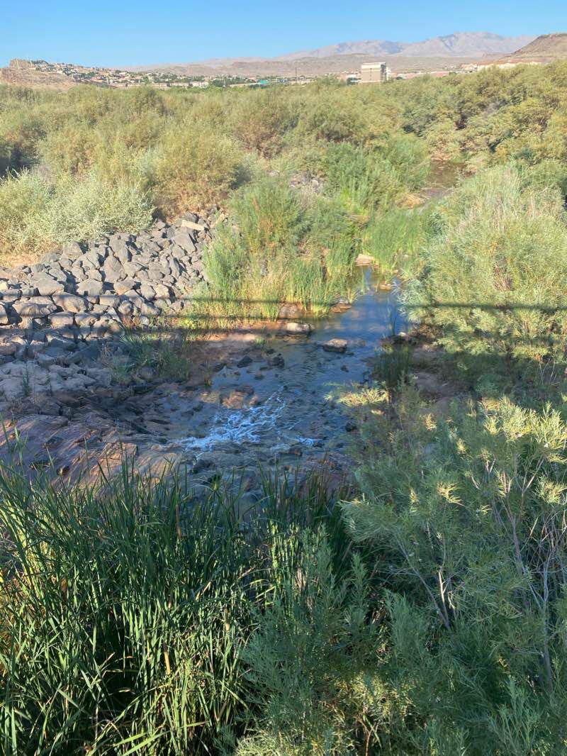 walking near me in St. James Park in winter