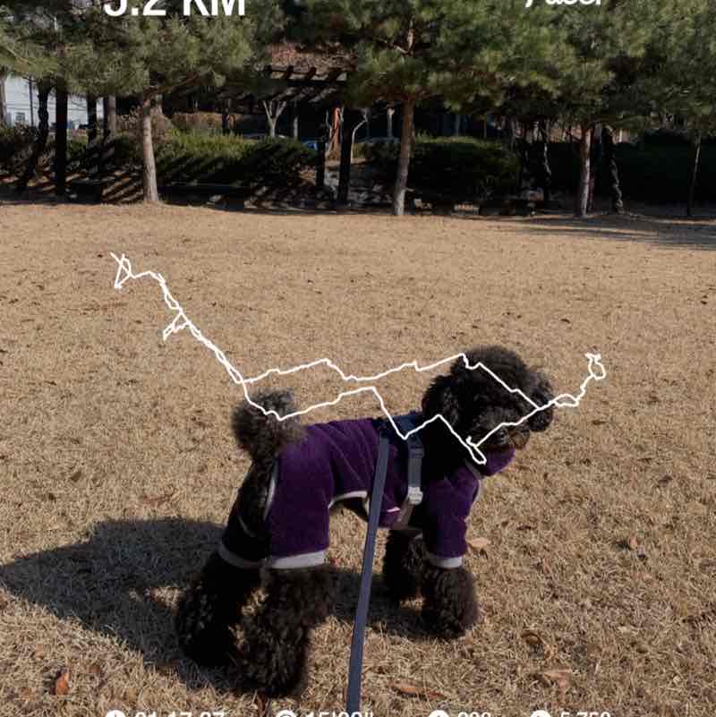 구레오 post 1
