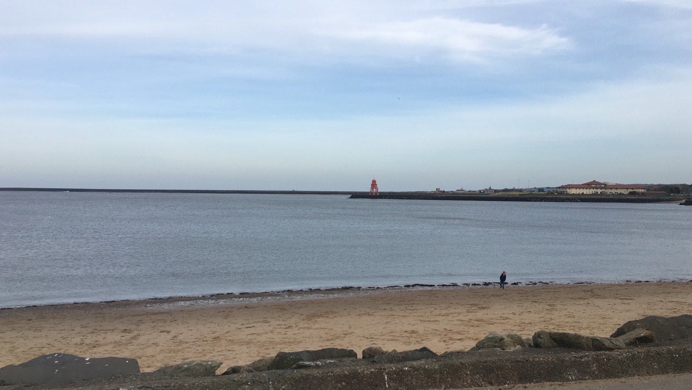 walking near me in Howdon Park in winter