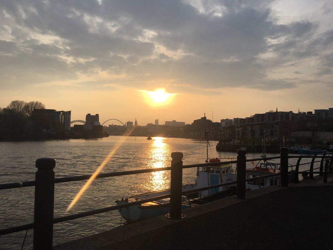 walking near me in Saltmarsh Garden in winter
