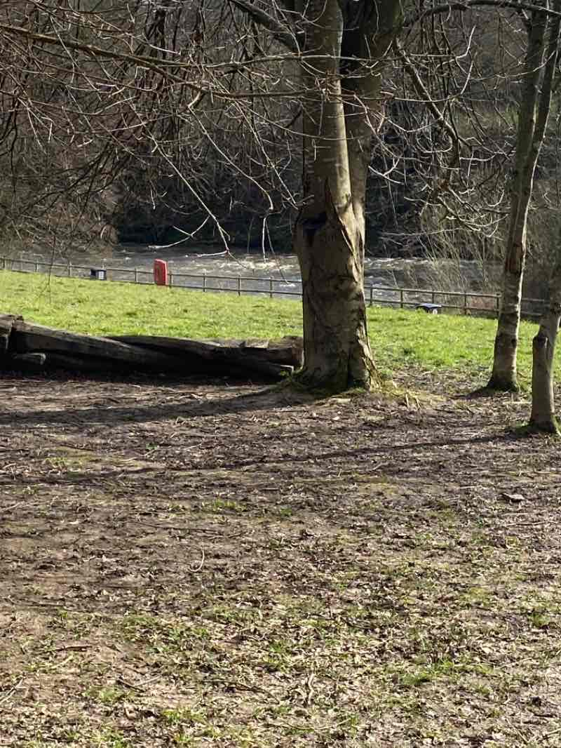 walking near me in Tŷ Mawr Country Park in winter