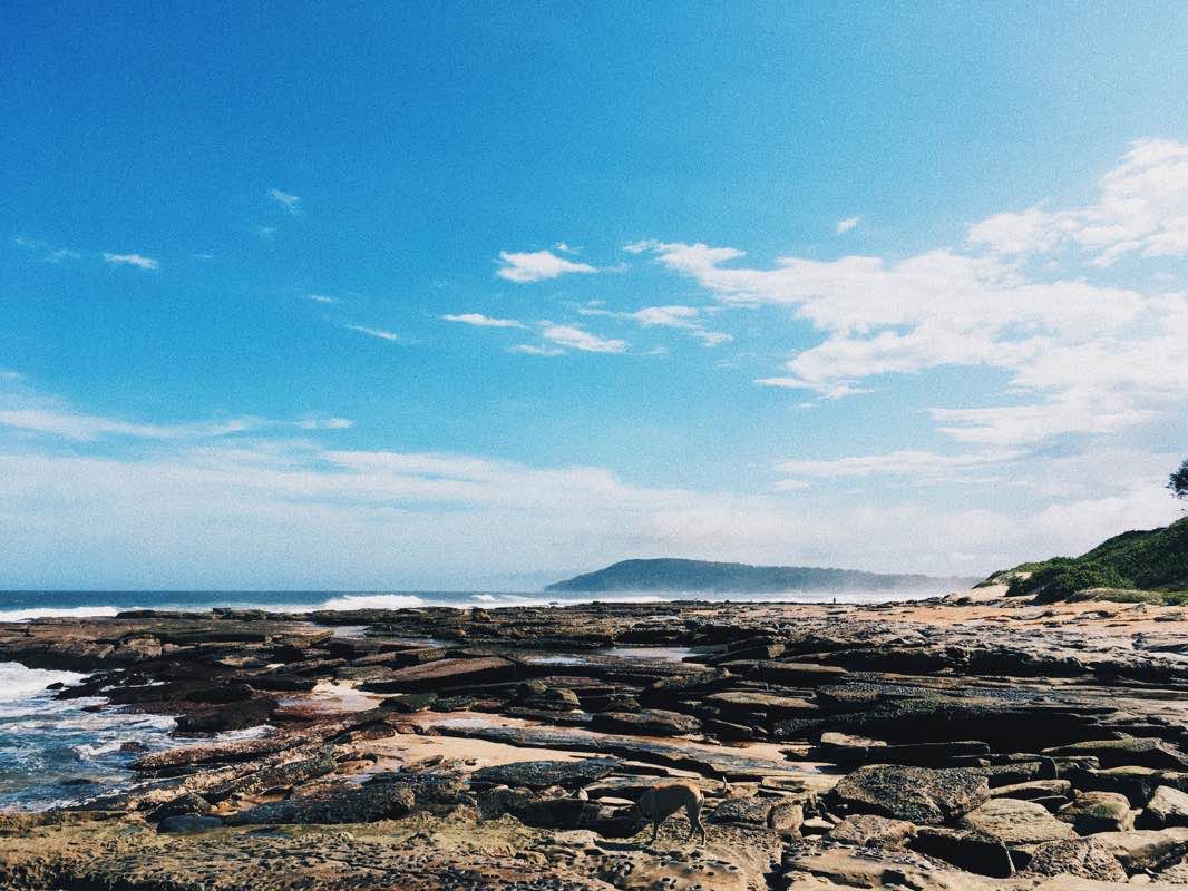 walking near me in Swadling Reserve in summer