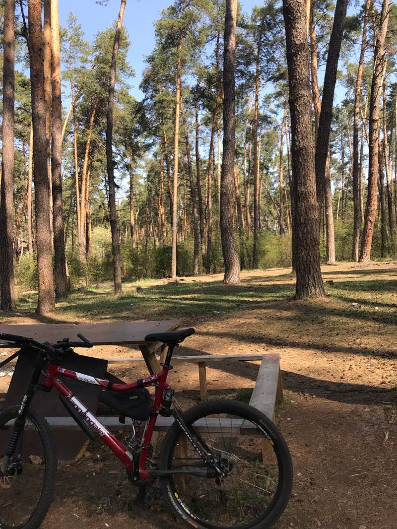 walking near me in Friendship Square Garden in winter
