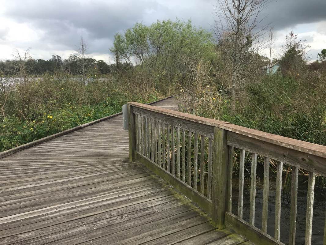 walking near me in Jiggs Landing Recreation Area in winter