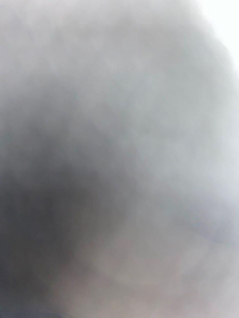 walking near me in Olompali State Historic Park in winter