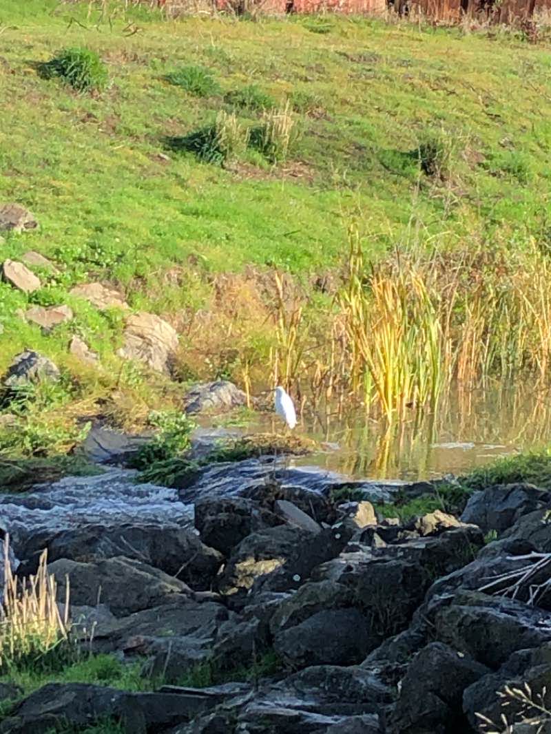 walking near me in Viewpoint Top Park in winter