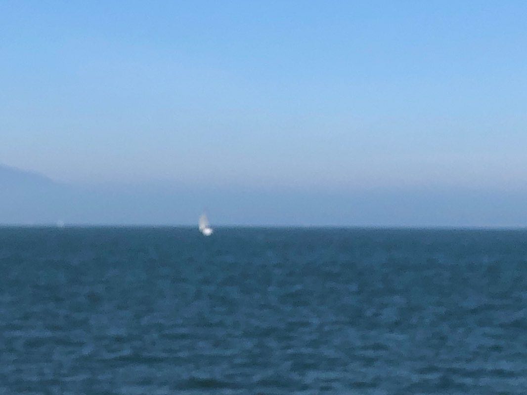 walking near me in Judge George D. Carroll Park in winter