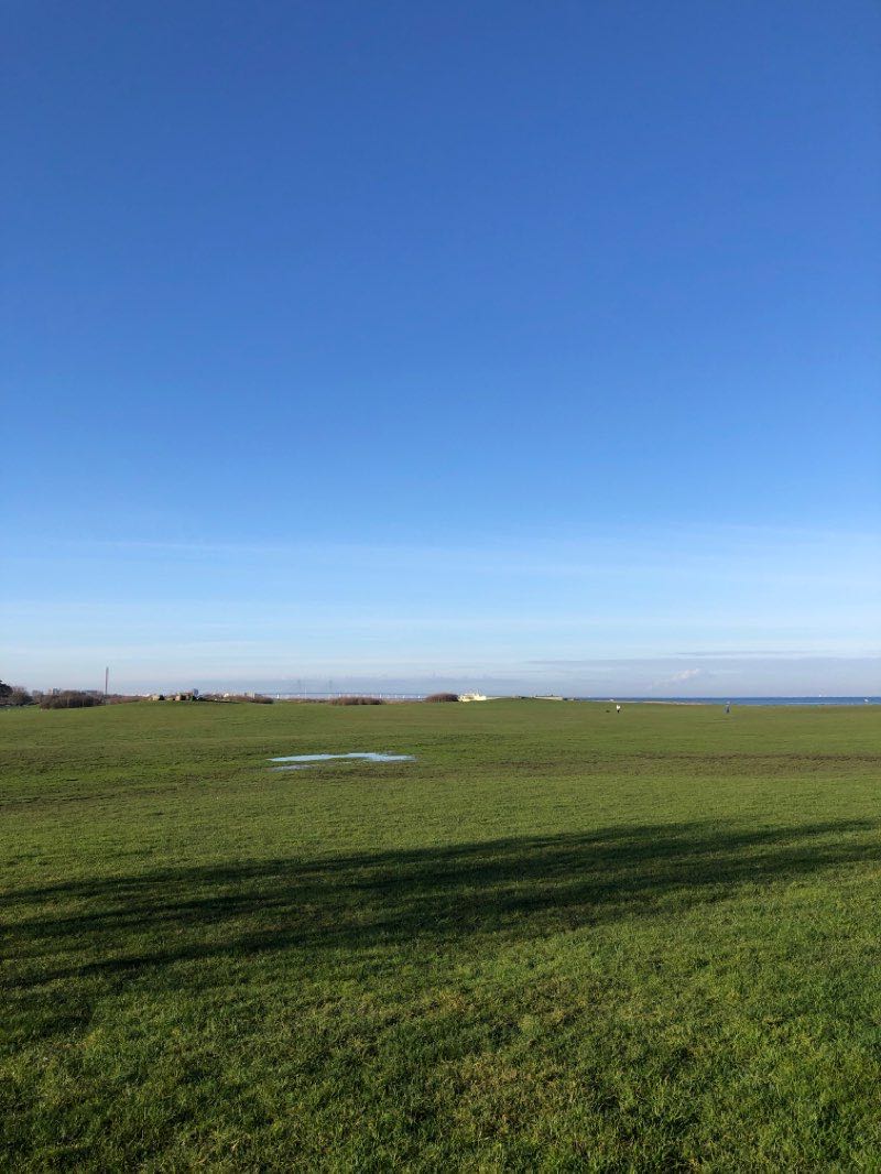 walking near me in Daniaparken in winter