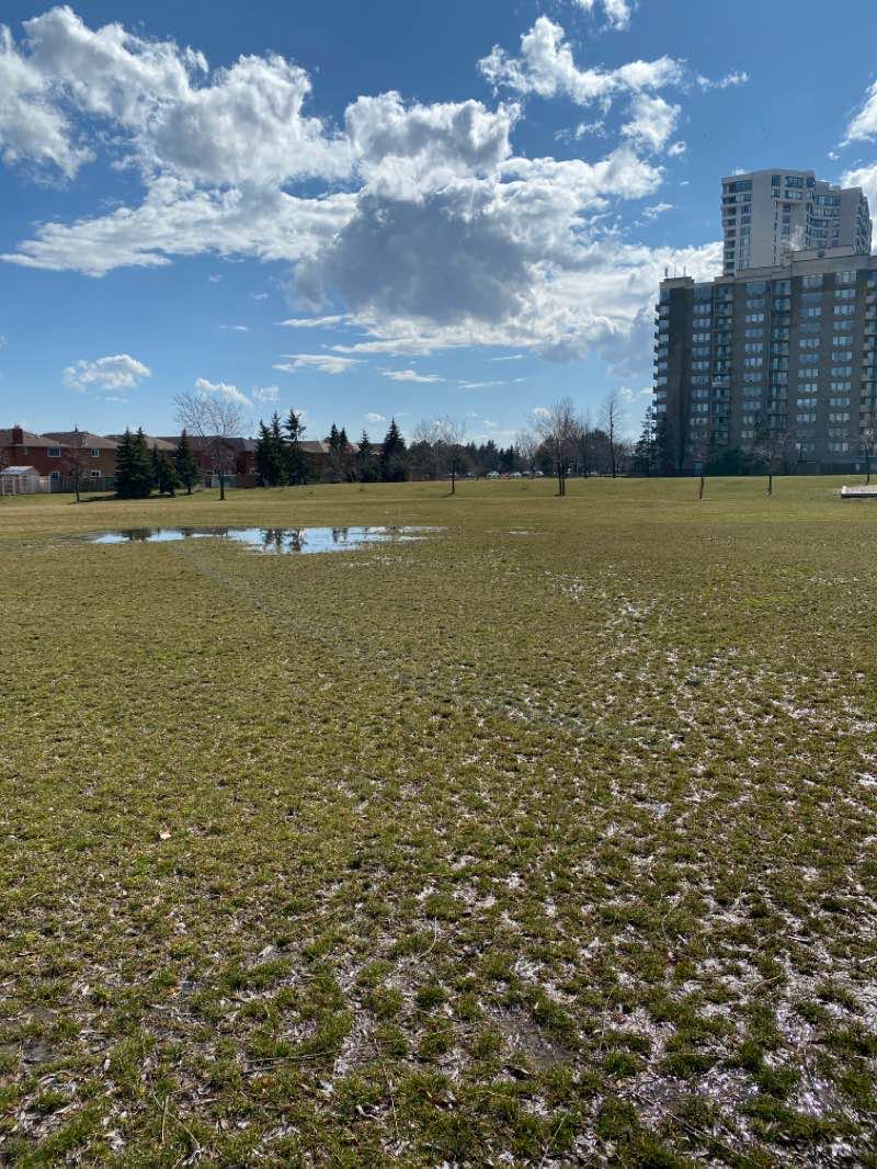 walking near me in Cleary Park in winter