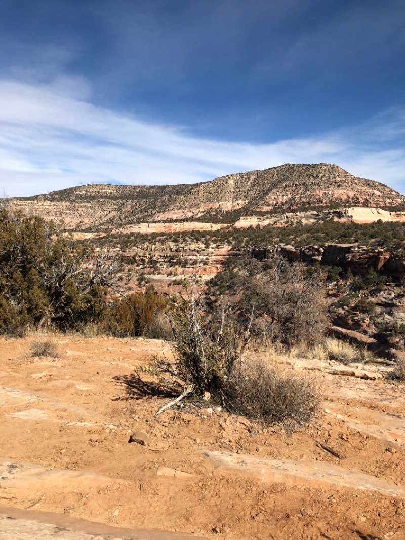 walking near me in Canyons of the Ancients National Monument in winter