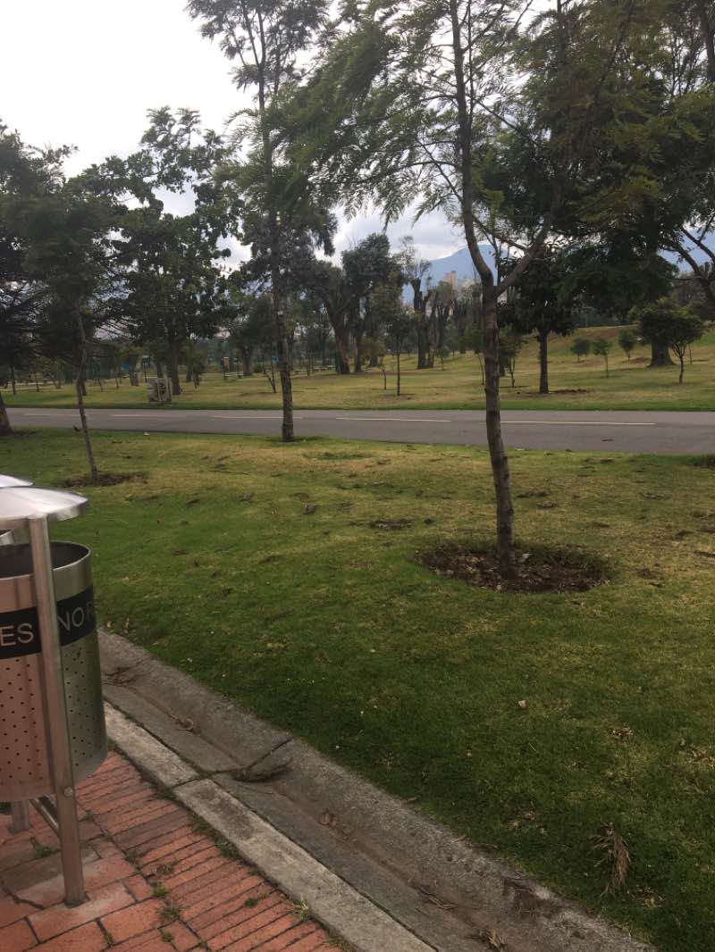 walking near me in Parque El Tunal in winter