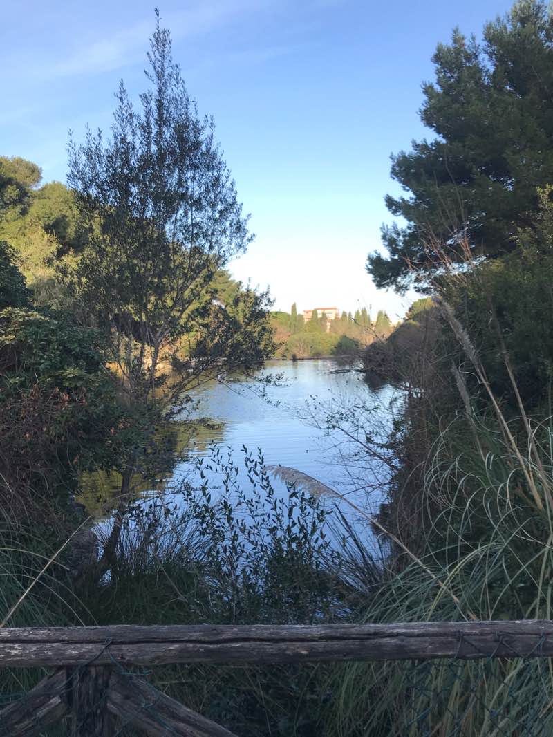 walking near me in Parco di Monte Urpinu in winter