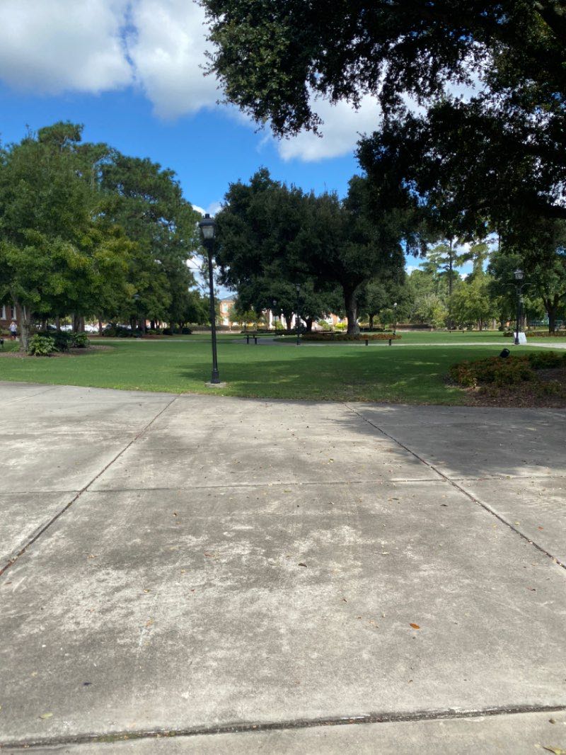 walking near me in James P. Blanton Park in winter