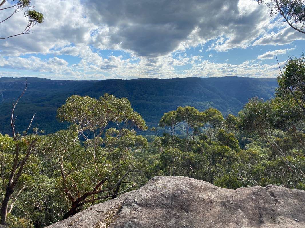 walking near me in Barren Grounds Nature Reserve in summer