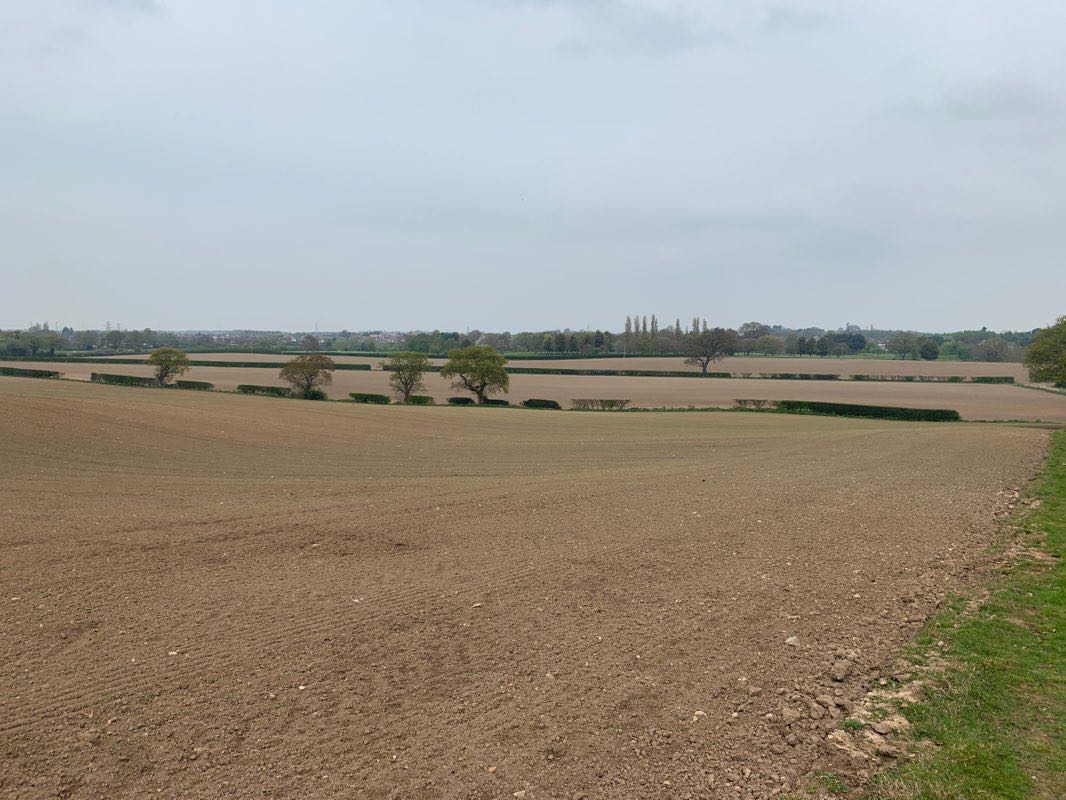 walking near me in Gladstone park in winter