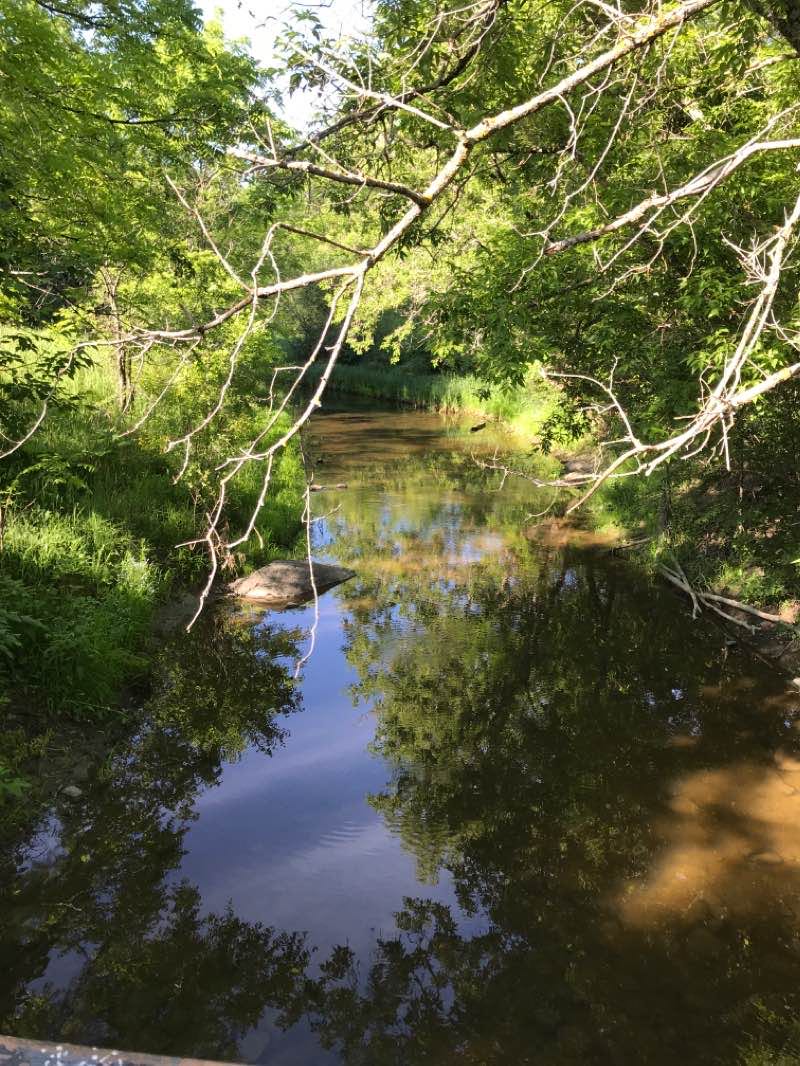 walking near me in McConnell Park in winter