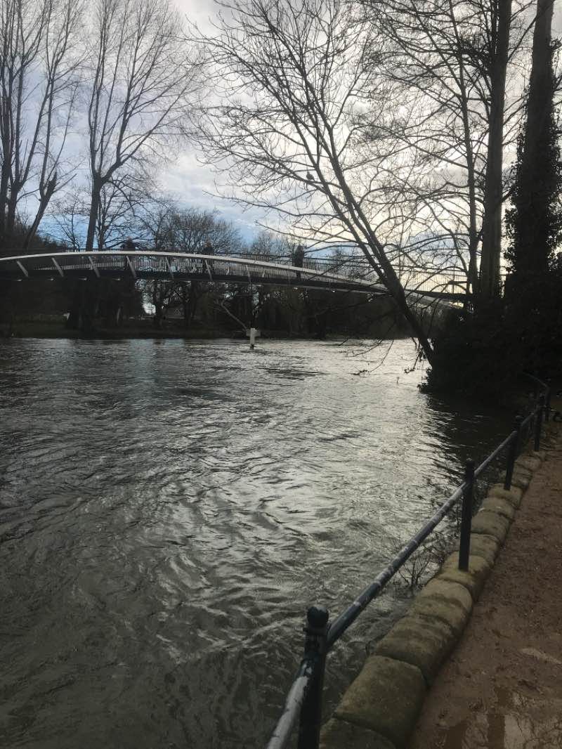 walking near me in Burnham Park in winter