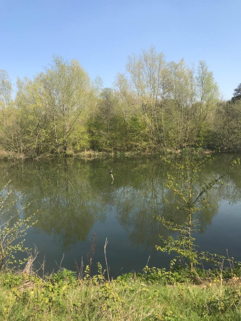 walking near me in Ray Mill Island in winter