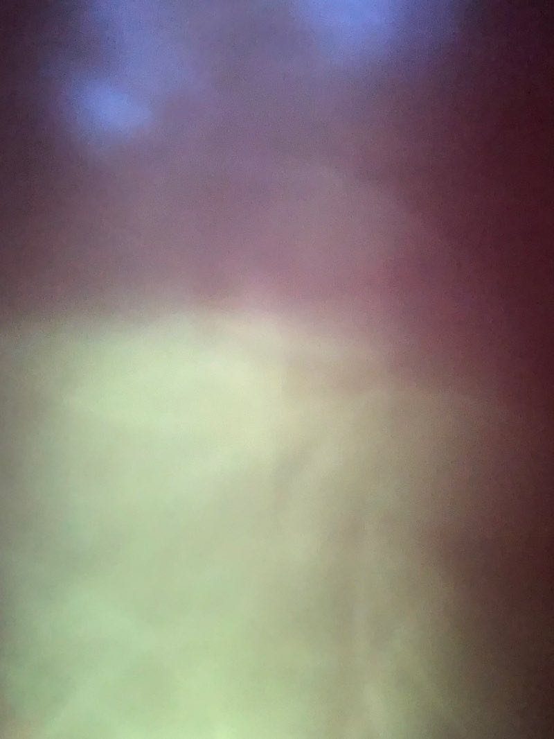 walking near me in School House Park in winter