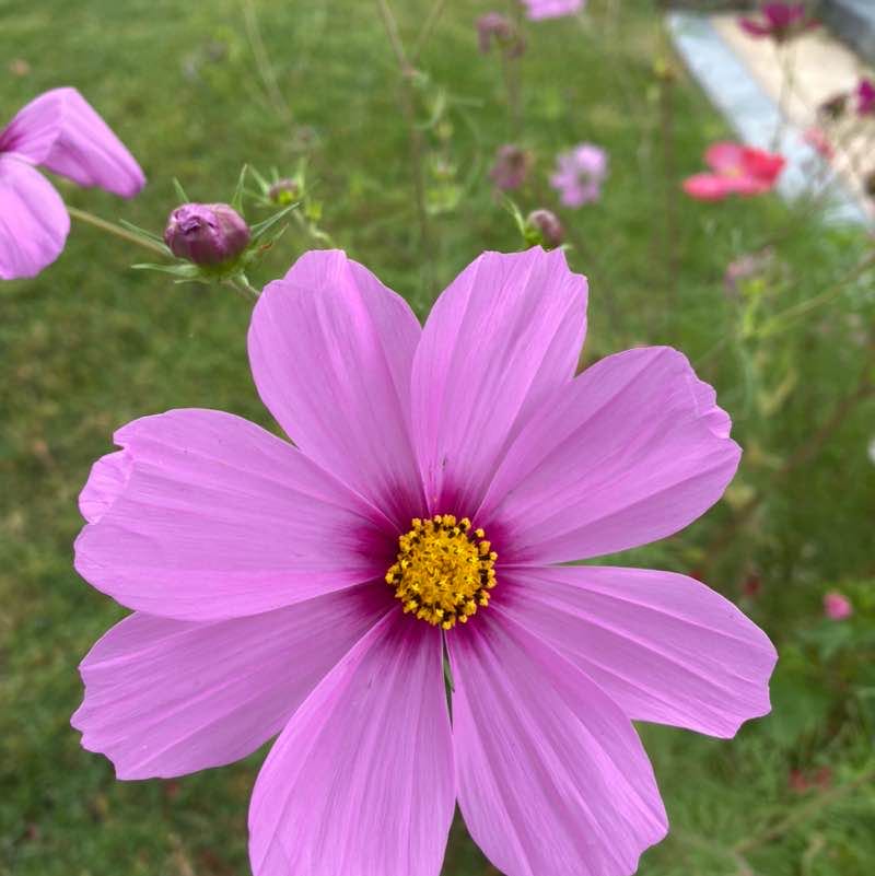 Ricky G. 🇲🇽🇺🇸 post 2