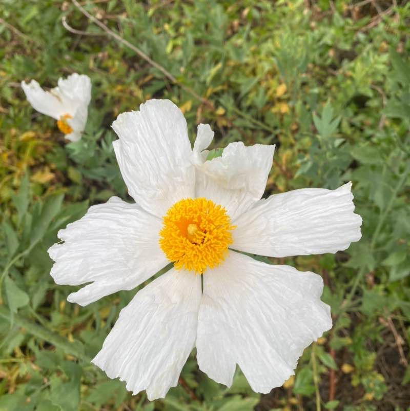 Ricky G. 🇲🇽🇺🇸 post 3