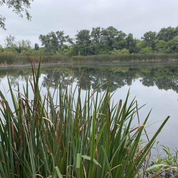 Ricky G. 🇲🇽🇺🇸 post 1