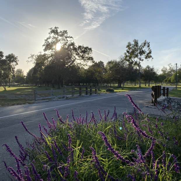 Ricky G. 🇲🇽🇺🇸 post 2