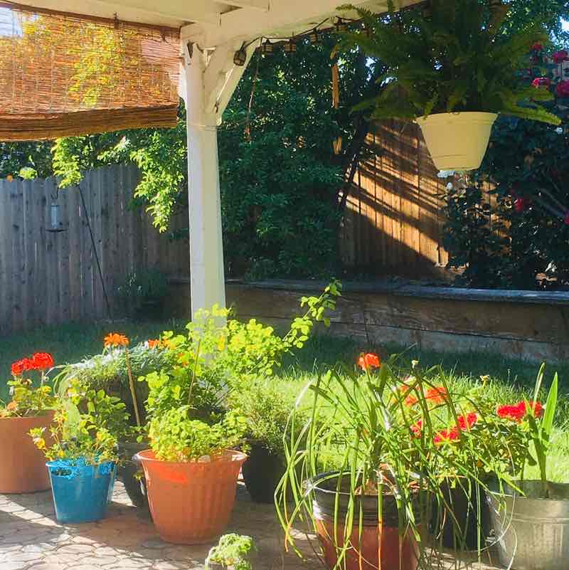 InHisHands 🌻 post 3