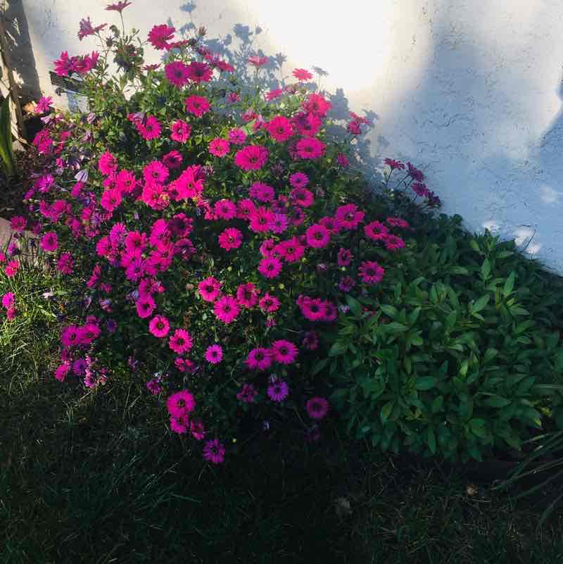 InHisHands 🌻 post 2