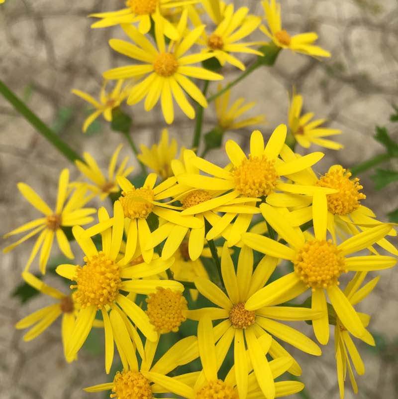 InHisHands 🌻 post 1