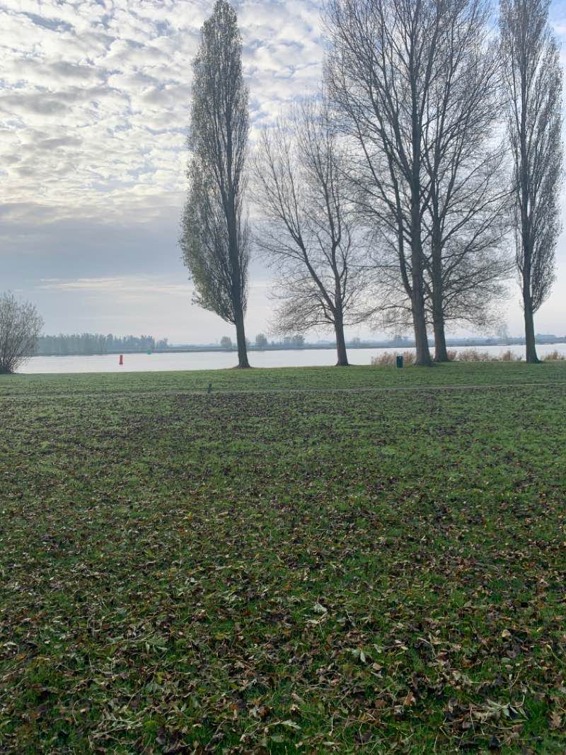 walking near me in Het Ziedewijdse Land en Spuiveld in winter
