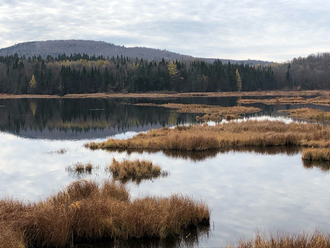 walking near me in Réserve naturelle des Marais-du-Nord in winter