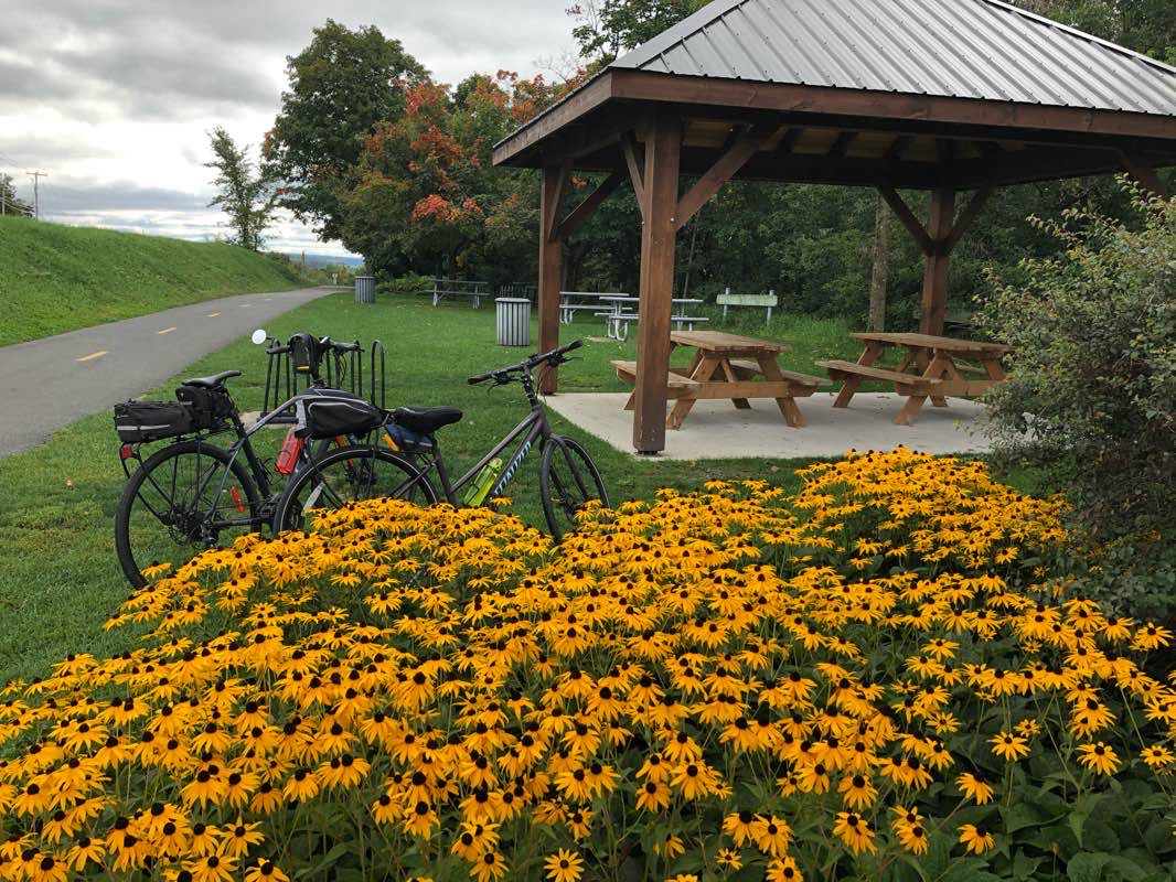 walking near me in Parc Atkinson in winter