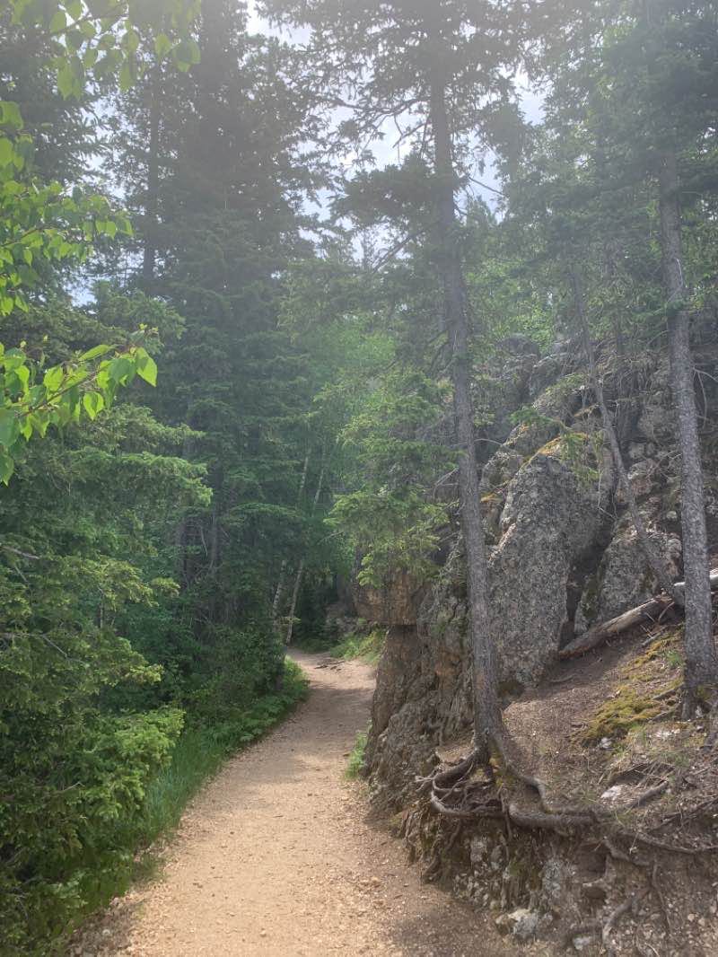 walking near me in Black Elk Wilderness in winter