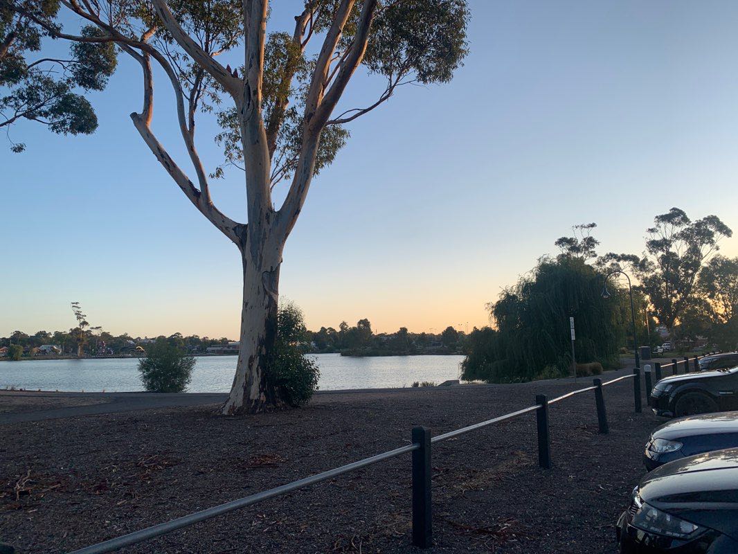 walking near me in Canterbury Park in summer