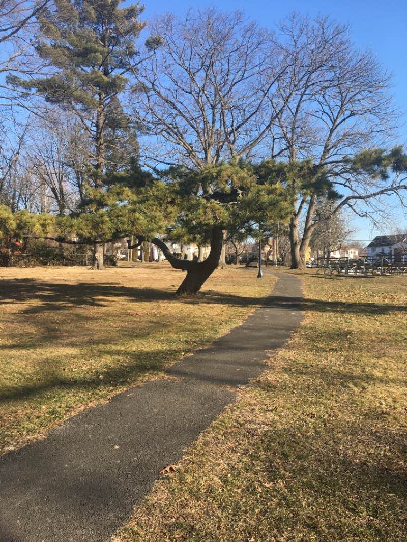 walking near me in John Lyon Park in winter