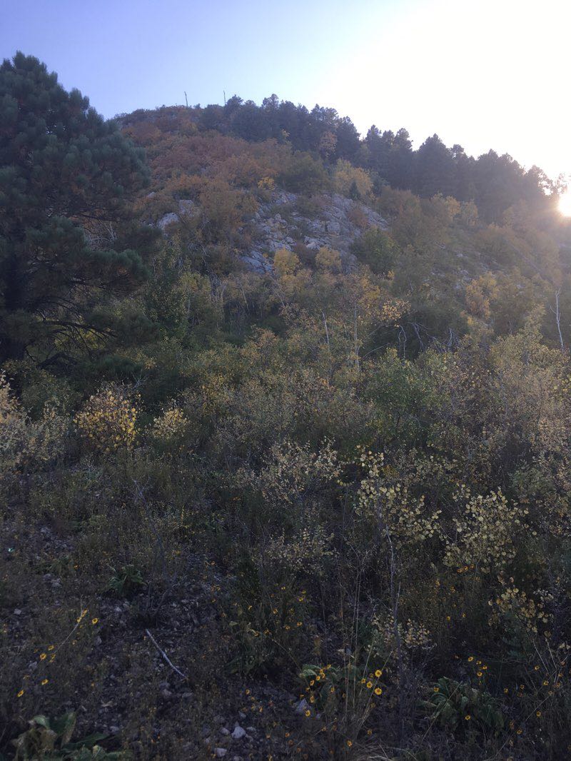 walking near me in Miller Peak Wilderness in winter