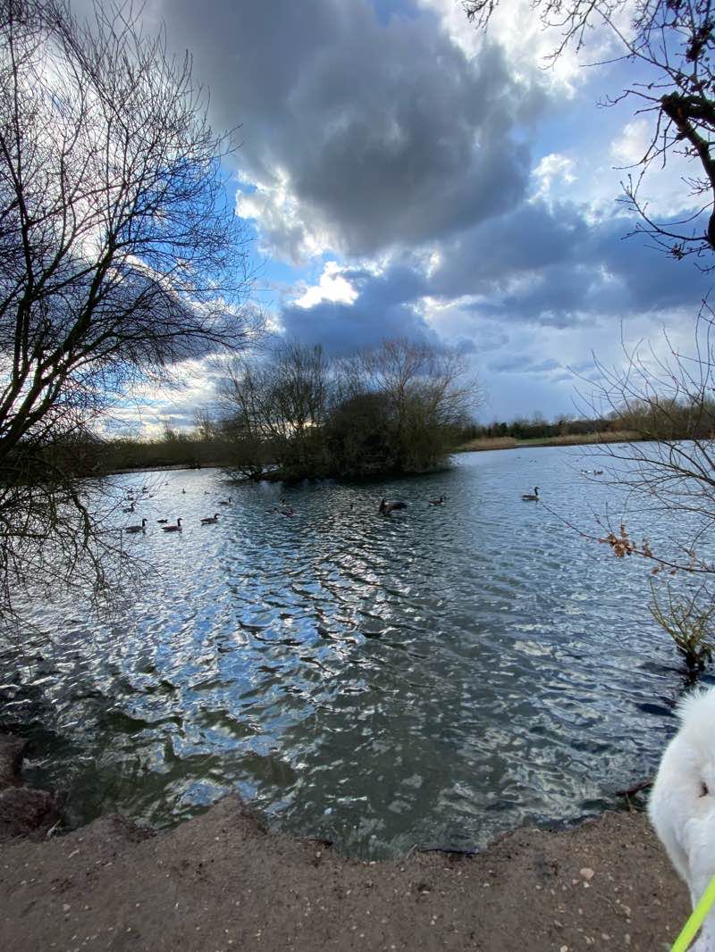 walking near me in Ingrebourne Hill in winter