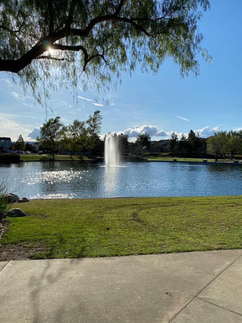 walking near me in Harveston Lake Park in winter