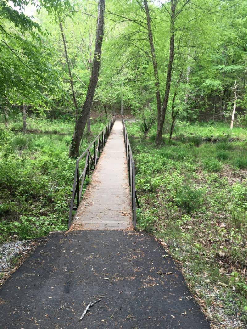 walking near me in Lake Rabon Park in winter