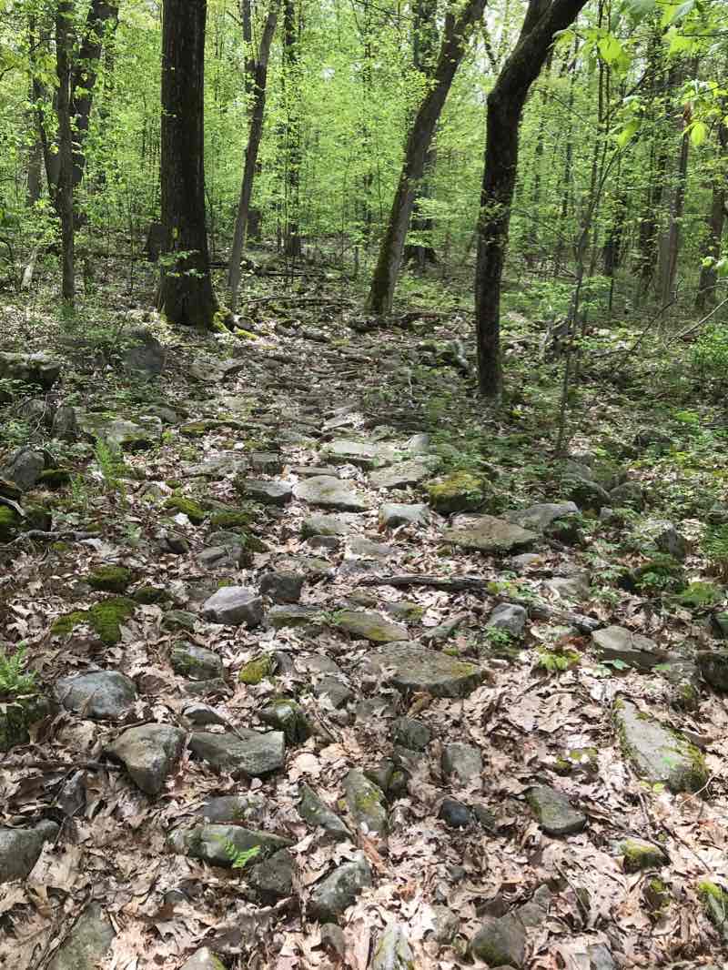 walking near me in Bald Eagle State Park in winter