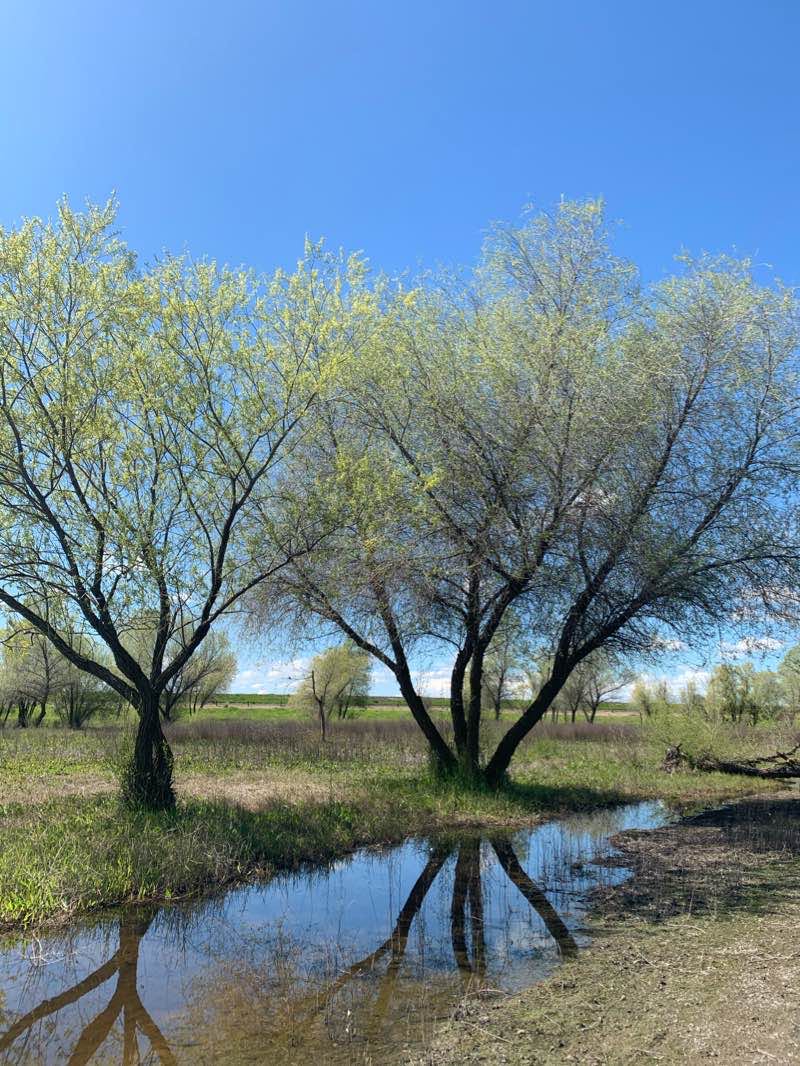 walking near me in San Juan Reservoir Park in winter