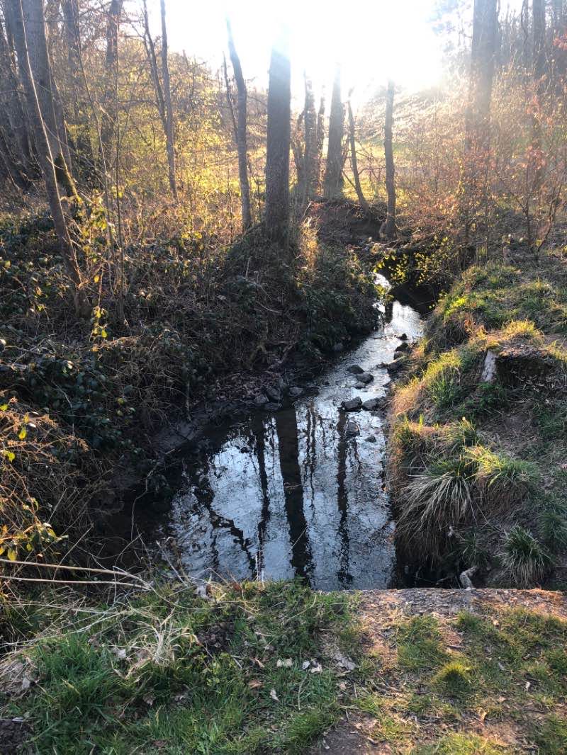 walking near me in Park am Königsknoll in winter