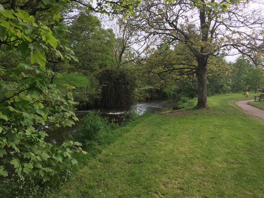 walking near me in The Byes in winter