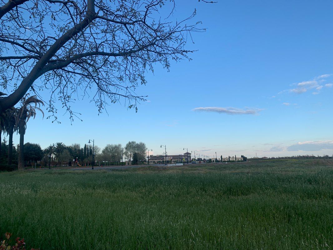 walking near me in Mountain House Creek Recreation Area in winter