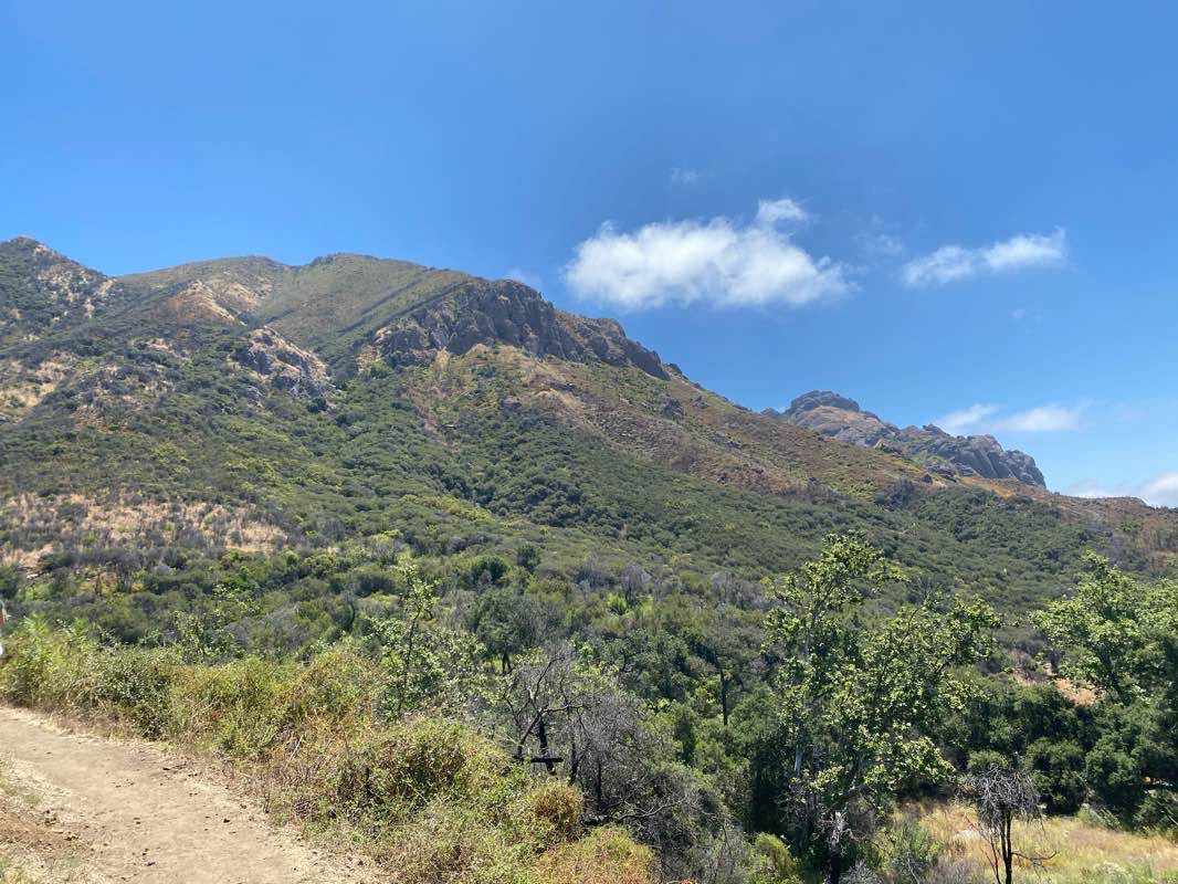 walking near me in Circle X Ranch in winter