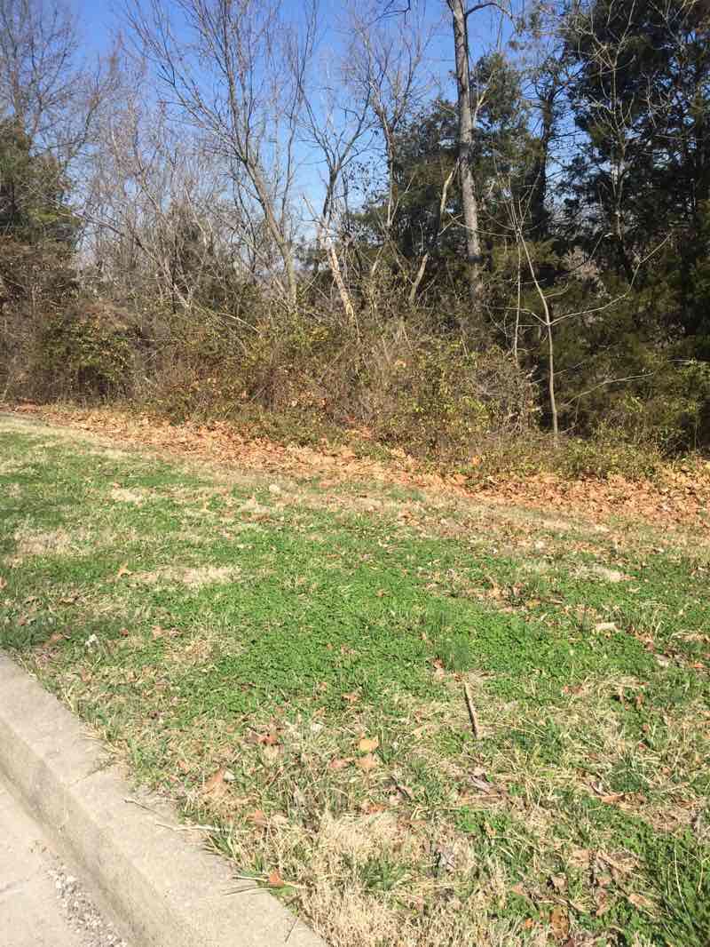 walking near me in Washington Park in winter