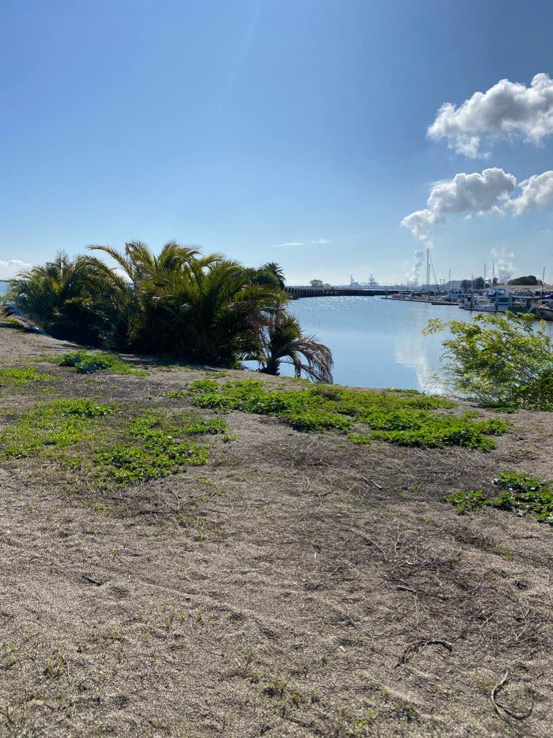 walking near me in Mariner Park in winter