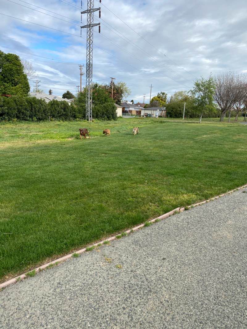 walking near me in Central Addition Park in winter